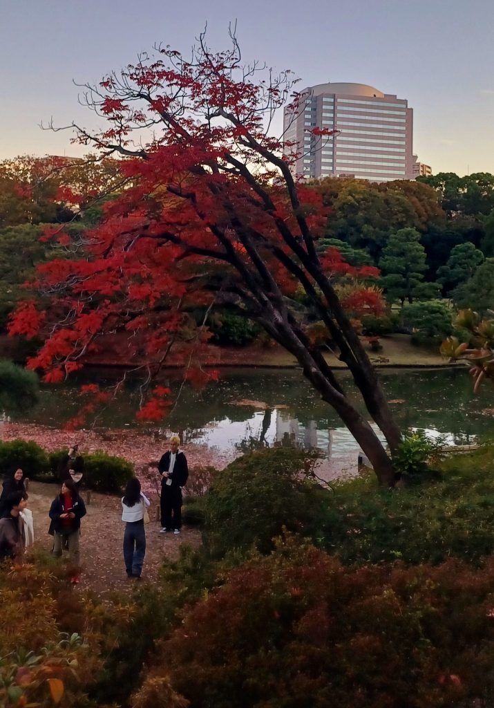 momiji rikugien garden tokyo