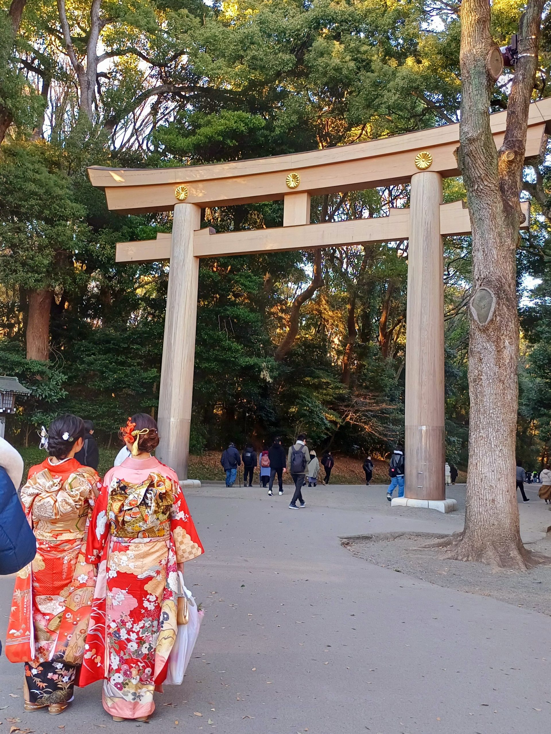 girls wearing furisode during 成人の日