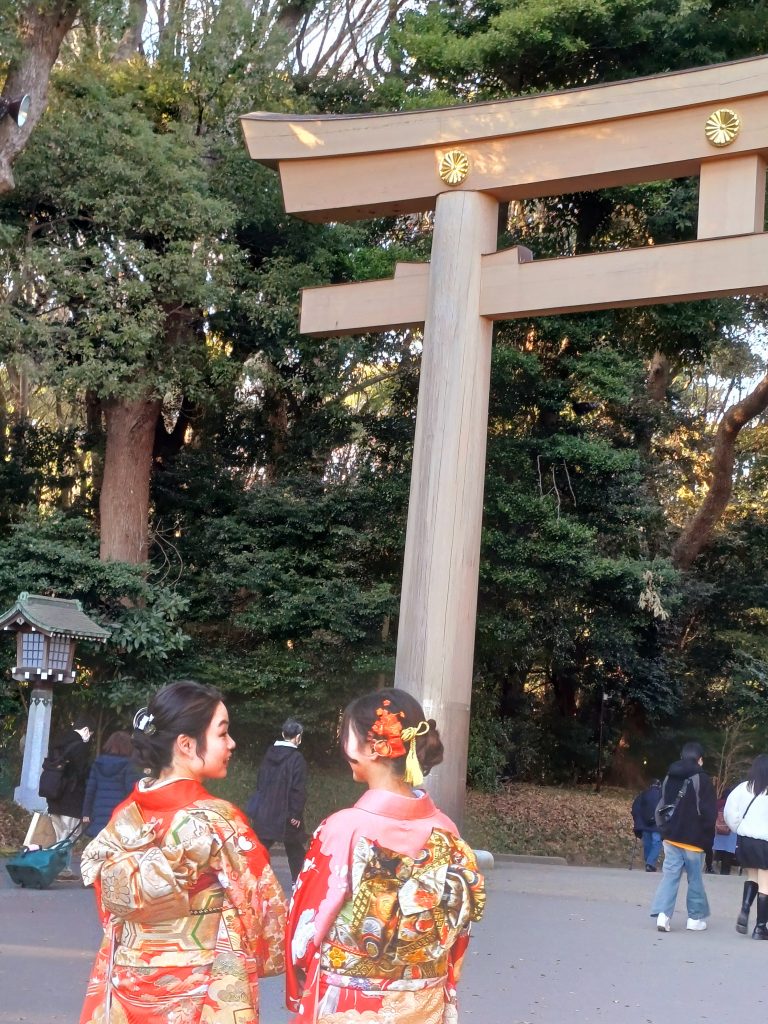 girls wearing furisode during 成人の日