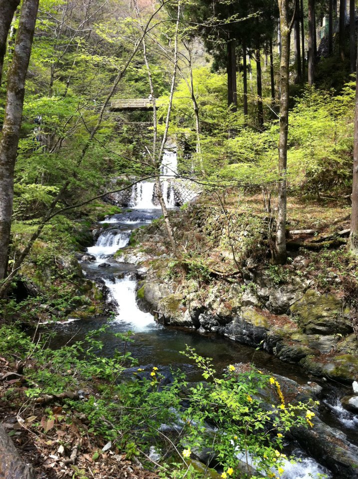 okutama hiking spring 2012