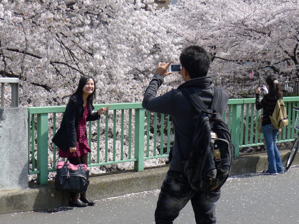 hanami kanda river 2012