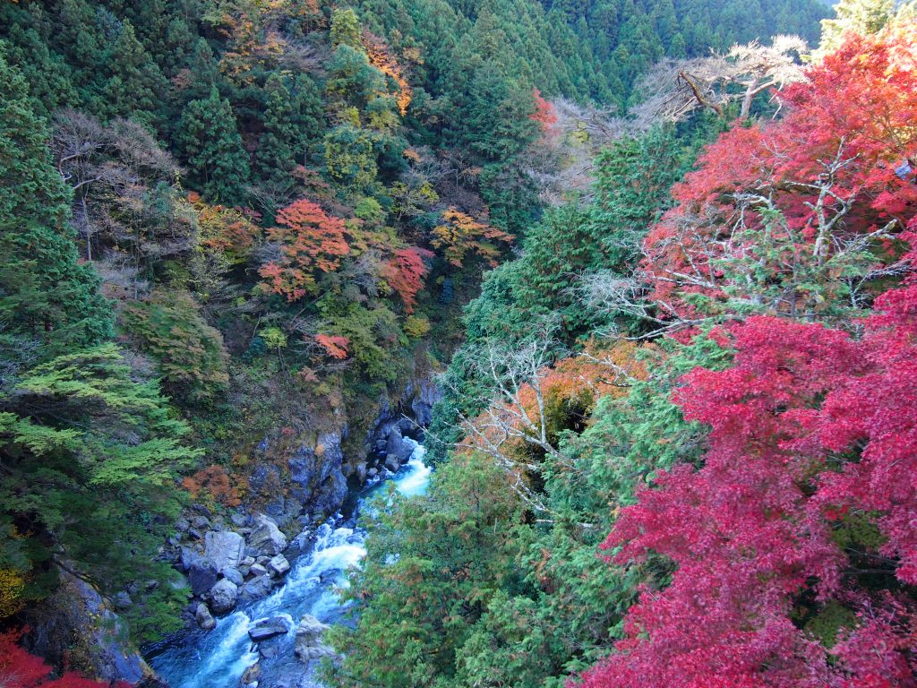 okutama hiking report fall 2012