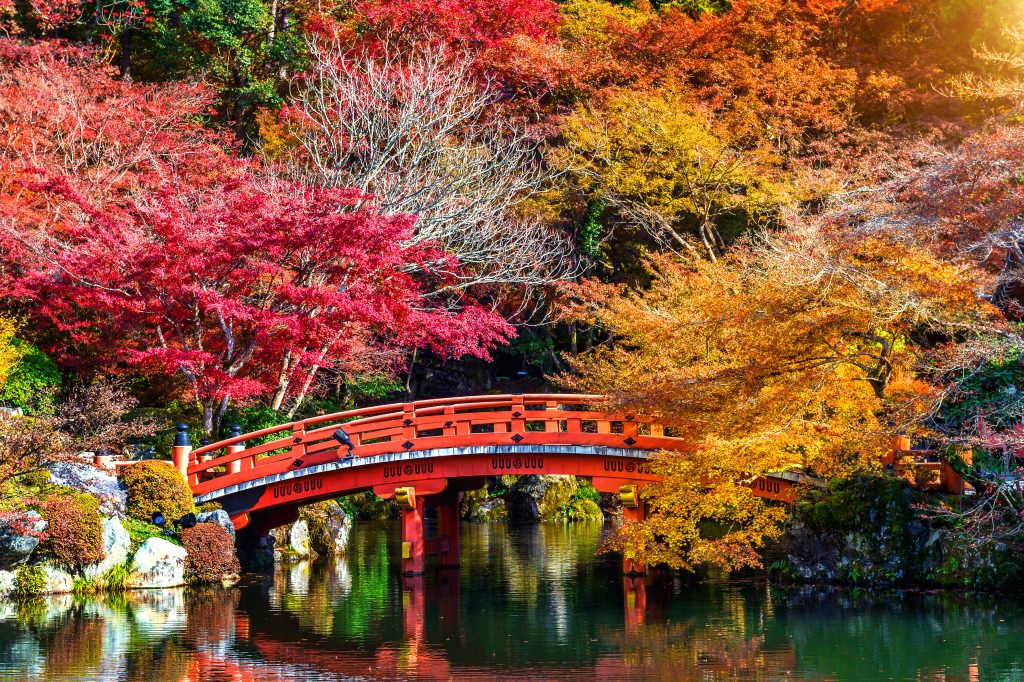 momiji spots
