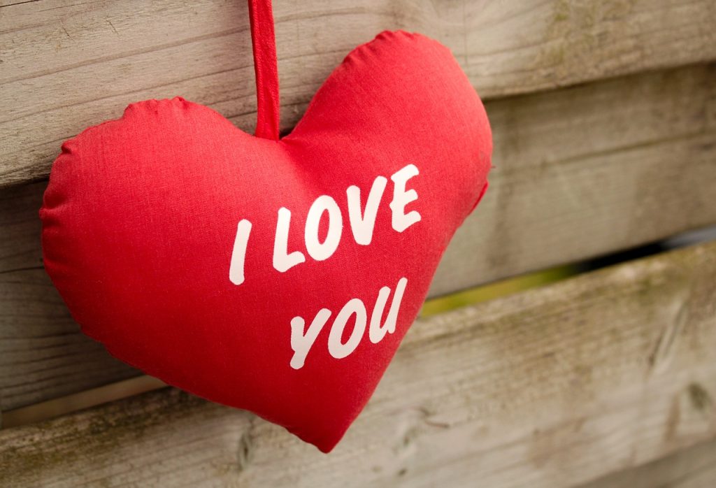 how to say i love you in japanese