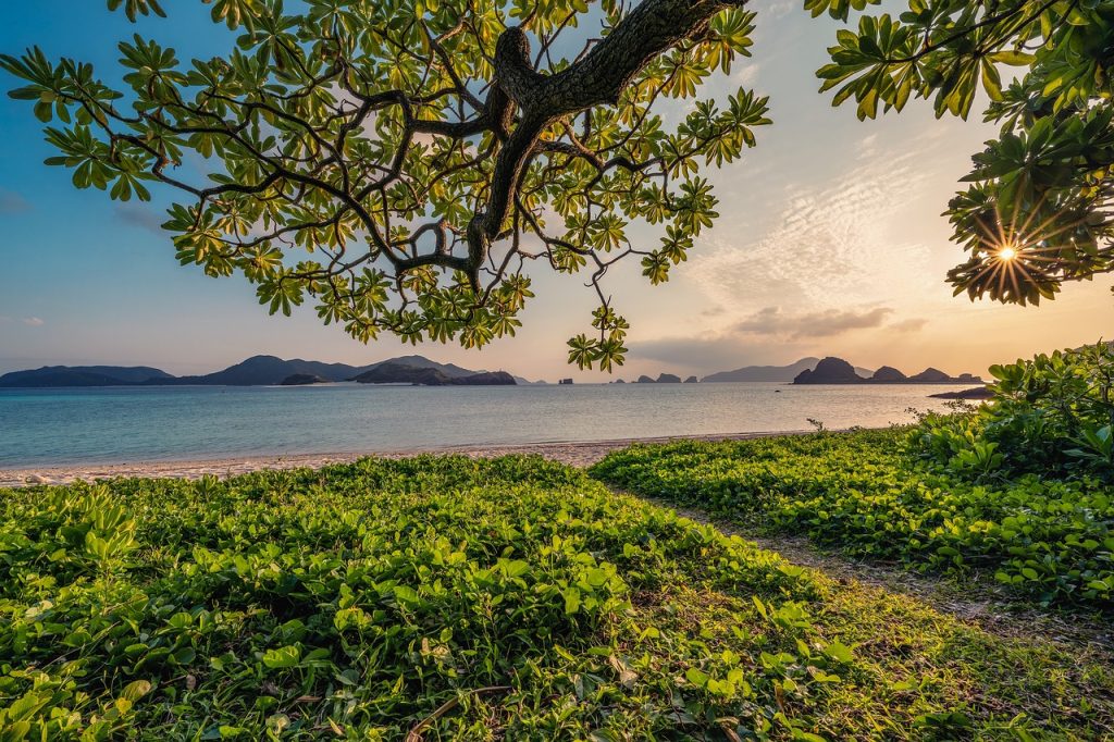 okinawa homestay 2015