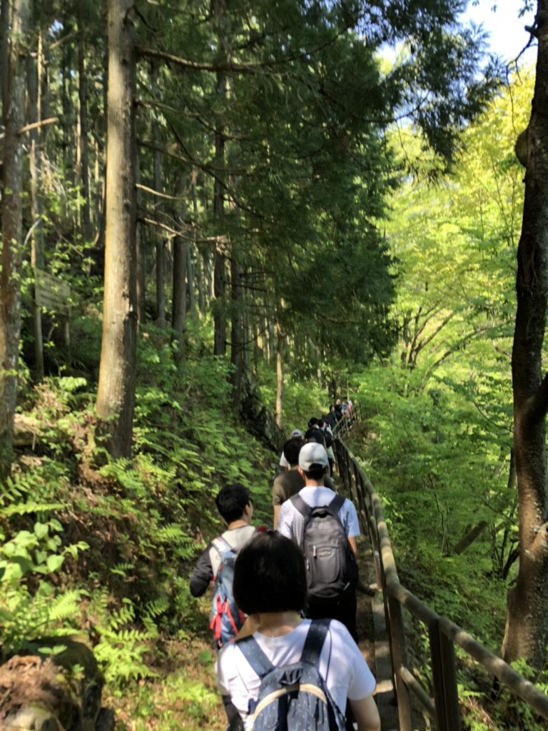 okutama therapy walk