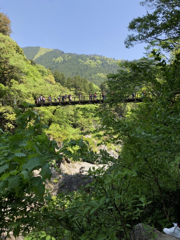 okutama hiking april 2012