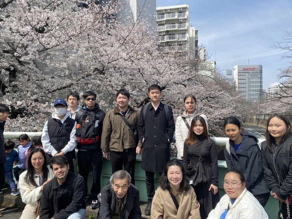 waseda sakura festival