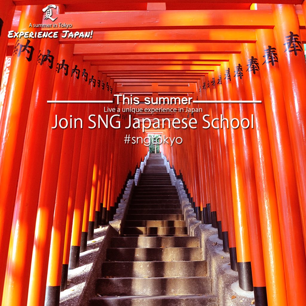 sng summer course 2017