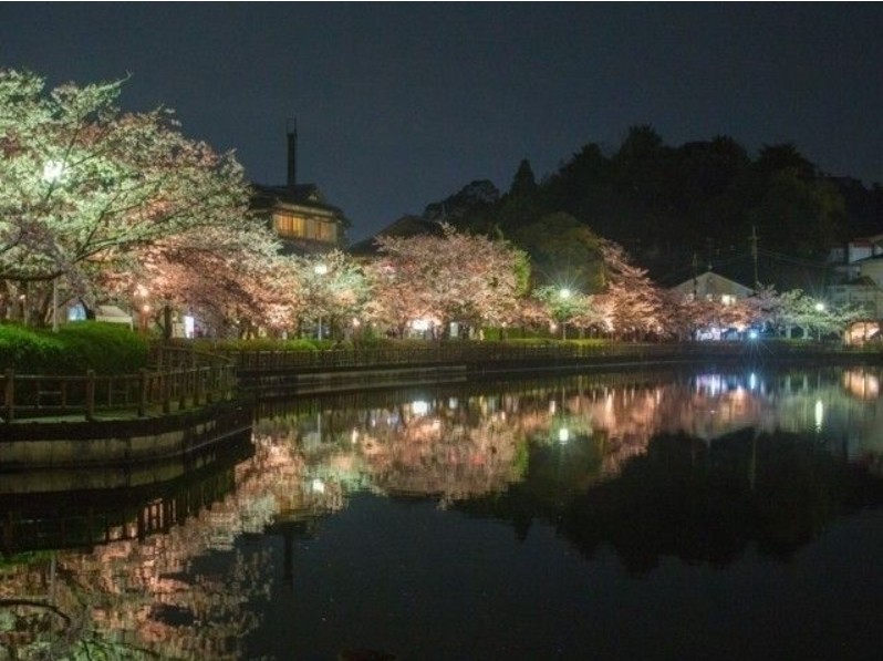 hanami naka-meguro