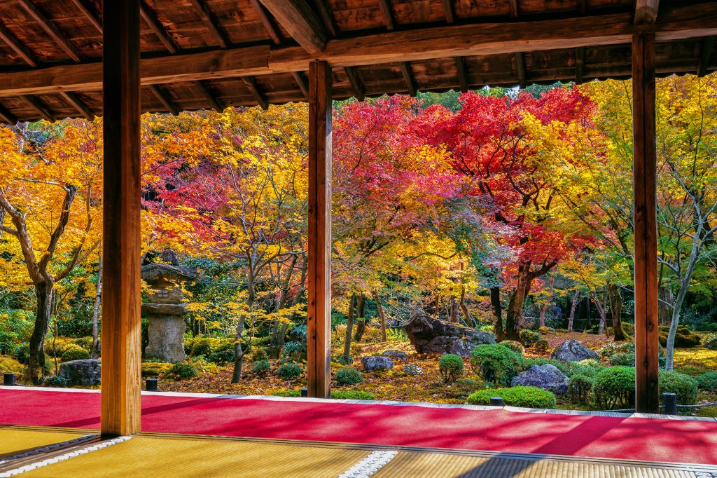 Autunno in Giappone: la celebrazione del Koyo e del Momiji